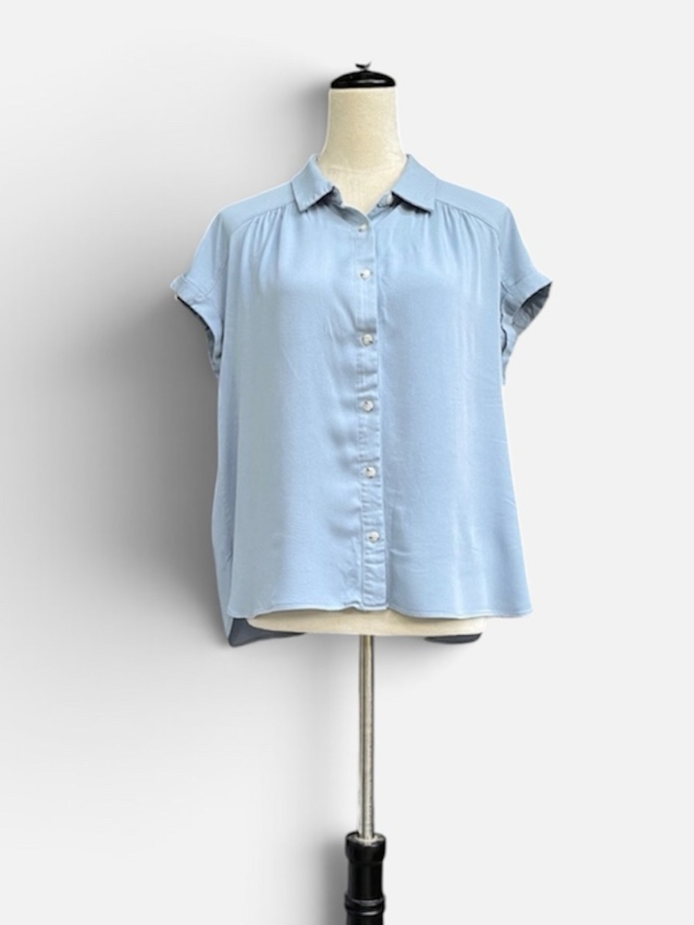 Rose & Olive Button-Front Short-Sleeve Blouse in Blue Size Large